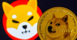 Shiba Inu! SHIB will be 1$/coin 2022?